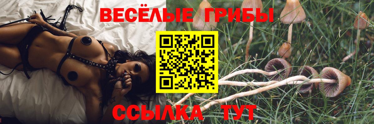 Псилоцибиновые грибы мицелий  Галлюциногенные грибы Psilocybe  Вход с VPN  Долгопрудный 